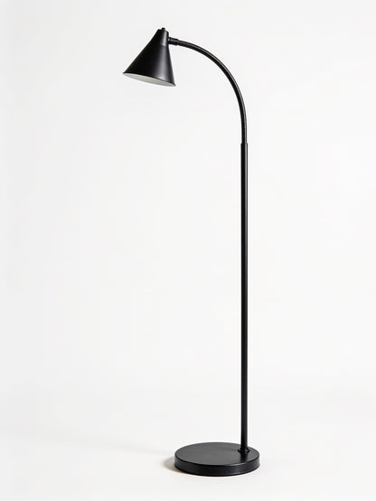 Matte Black Gooseneck Floor Lamp